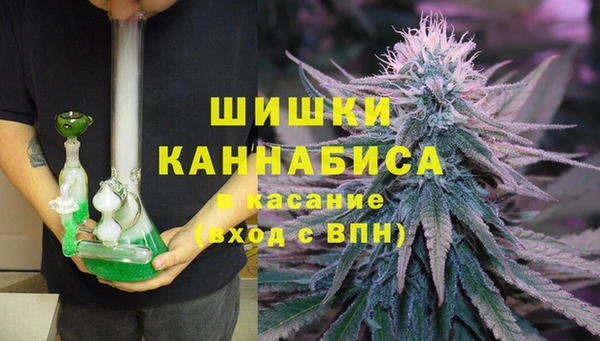 гидра Кинешма