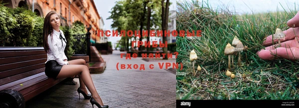 гидра Кинешма