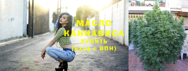 гидра Кинешма