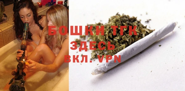 гидра Кинешма